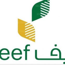 مدارس تعليم تبوك تستقبل عودة المعلمين والمعلمات بحزمة من البرامج التدريبية والوقائية