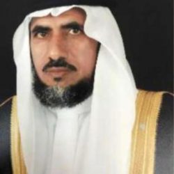 مشاجرة بالكراسي بين الفنان الشعبي “حمو بيكا” ومنافسه “نور التوت “