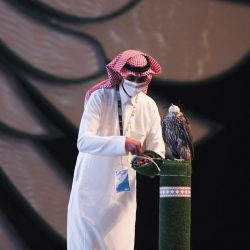 مبادرة دايموند السعوية القصيم “حماية الطيور مع الأيتام”