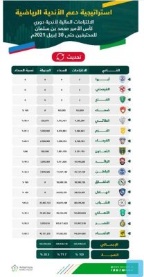الكفاءة المالية تكشف تفاصيل ما تم سداده من أندية دوري المحترفين