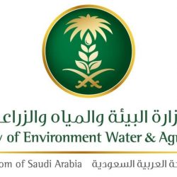 الموارد البشرية: المهن المقصورة على السعوديين متاحة لأبناء وبنات المواطنة