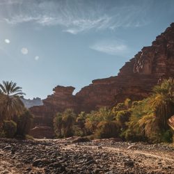 السديس: الموسوعة الرقمية لدروس المسجد النبوي إرث علمي عبر التاريخ