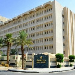 أخطاء احذفها من الـ C.V قبل تقديمها