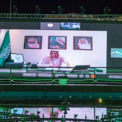 ‏الدكتورة الشمري تترجم مشاعرها الوطني بيوم الوطن ٩١
