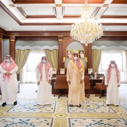 الشرعية تقضي على 60 متمرداً حوثياً خلال معارك ضارية في مأرب