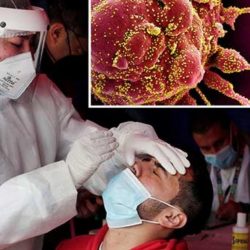 مستشفى صبيا العام يحقق المركز الأول على مستوى مستشفيات المملكة في خدمات الأشعة مستشفى صبيا العام يحقق المركز الأول على مستوى مستشفيات المملكة في خدمات الأشعة