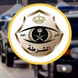 رحلة شيّقة للصقور في مزاد «نادي الصقور السعودي الثاني»