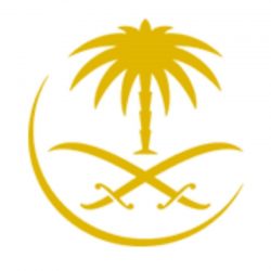 بعد تعيينه نائبا لوزير الرياضة.. 5 محطات بارزة في حياة بدر القاضي