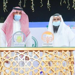 ولادة ناجحة لأنثى النمر العربي في سبيل حمايته من الانقراض