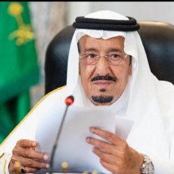 نادي الصقور: السماح بصيد طيور الحباري بدءاً من 1 نوفمبر المقبل