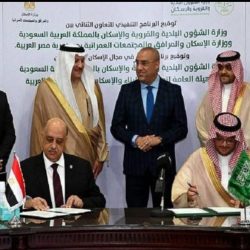 مكافحة الفساد تباشر عددا من القضايا الجنائية وتصدر أحكاما قضائية