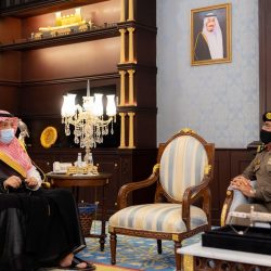 فوائد النعناع الصحية والعلاجية في ملف شامل