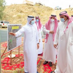 فوائد النعناع الصحية والعلاجية في ملف شامل