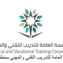 مصر تعلن الطوارئ القصوى وتعطل الدراسة بسبب موجة سيول