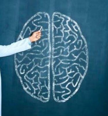 قبل أن تتلف دماغك.. 5 أطعمة يجب الامتناع عن تناولها