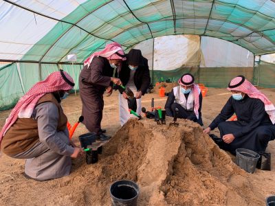 إنطلاق مبادرة لزراعة البذور بتبوك