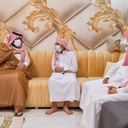 مهرجان ” الزيتون ” بمنطقة تبوك يواصل فعالياته وسط حضور لافت من الزوار