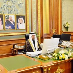 وزير النقل يدشن معرض التوظيف الافتراضي الأول في منظومة النقل والخدمات اللوجستية