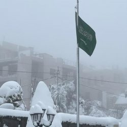 مدير فرع وزارة البيئة والمياه والزراعة بالباحة و محافظ قلوة يطلعا على ماتم انجازة خلال المرحلة الثانية من مبادرة تأهيل المدرجات الزراعية