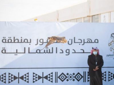 انطلاق شوطي الشاهين والقرموشة بمهرجان الصقور