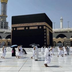 اختتام سباقات الخيل بينبع