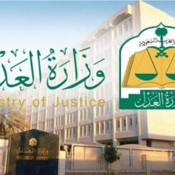 الإعلان قريباً عن آلية تجديد الهوية الوطنية عبر “أبشر”