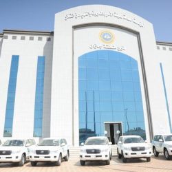 “رشاد العليمي”ابن محافظة «تعز» الذي يقود اليمن في مرحلة حرجة
