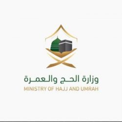 الإمارات بطل العالم لهوكي الجليد