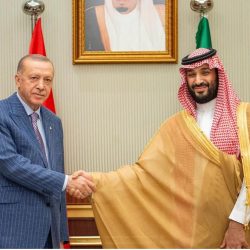 مجلس الأعمال التركي السعودي .. استغلال إمكانات البلدين للوصول إلى شراكات إستراتيجية..