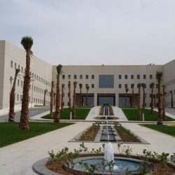 الإمارات بطل العالم لهوكي الجليد