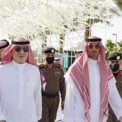سمو أمير جازان وسمو نائبه يؤكدان أهمية التعاون مع هيئة الإحصاء في تعداد السعودية 2022