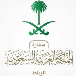 ليليان تضي منزل الفود..