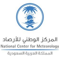تحويل جميع المحاكم الإدارية إلى محاكم رقمية..