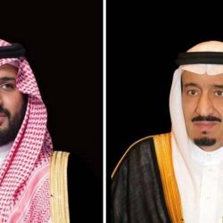 المركز العربى الأوروبي ينعي الشيخ خليفة بن زايد آل نهيان رئيس دولة الإمارات..