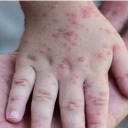 “كفيف” تقيم فعالية متنوعة لمستفيديها..