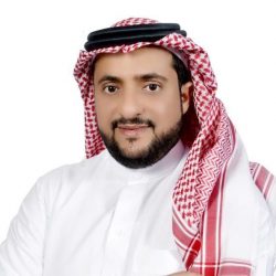 الهرم يتربع على جوائز التحريك في المهرجان القومي للسينما المصرية