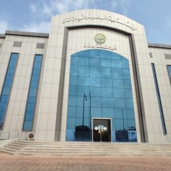 آل مهرجي وباسنبل يحتفلون بالدكتور أحمد