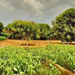 رئيس مركز الحكامية يدشن مشروعات اجتماعية لجمعية بر الحكامية بأكثر من 6 ملايين ريال