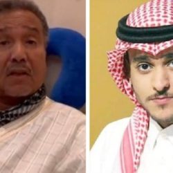 “فيديو يحبس الأنفاس”لحظة انهيار جبل في جنوب السعودية