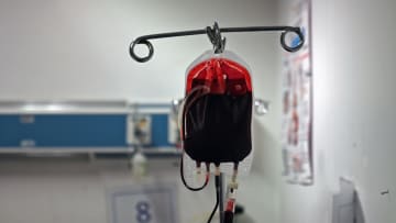 “ملعقتان صغيرتان من دم مصنّع مخبريا”قد تعالجان الأمراض النادرة