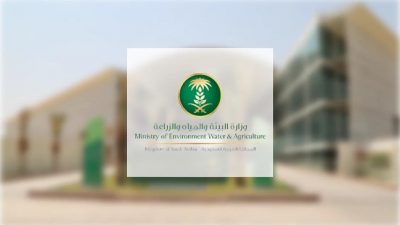 وزارة البيئة تمنح أصحاب محال تقليل الملوحة مهلة لتصحيح أوضاعهم.