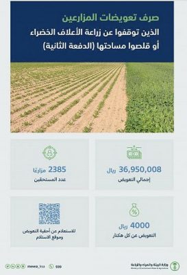 البيئة” تبدأ صرف تعويضات 2385 مزارعًا توقفوا عن زراعة الأعلاف الخضراء أو قلصوا مساحتها
