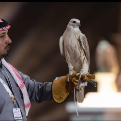 متحدث «الصحة» ينصح بعدم التعرض للأمطار مباشرة والتيارات الباردة…