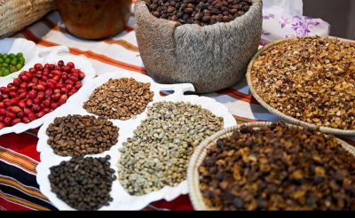 مجلس شباب منطقة جازان يشارك في مهرجان البن