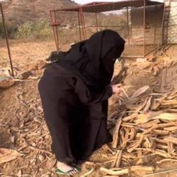 غدا الاثنين .. إيداع نحو مليون ريال لطلاب وطالبات القنفذة