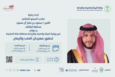 أنطلاق مهرجان العنب والرمان .. الأربعاء المقبل