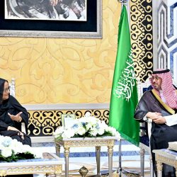 فيصل بن سلمان يستقبل رئيس جامعة طيبة فيصل بن سلمان يستقبل رئيس جامعة طيبة