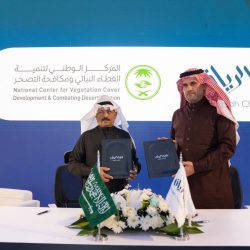 سلوى حجر مديرا لإدارة سعودي آرت للفنون البصرية بالمنطقة الغربية