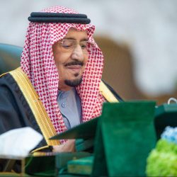 ‏”الغطاء النباتي” يطلق دليلًا للتّخييم.. يتضمّن نصائح مهمة وآلية التصريح.