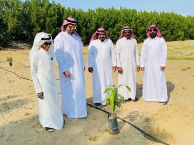مبادرة لتشجير المزارع المهملة والاراضي الزراعية القديمة بالقنفذة..